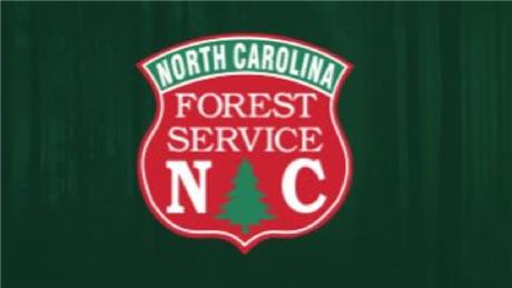 Group Banner Picture